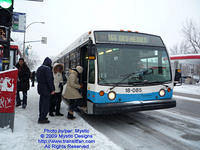 STM-18085-010209-02.jpg