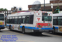 STM-22227-080609-01.jpg