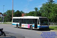 STM-22240-071509-01.jpg