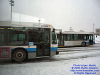 STM-22284-010209-01.jpg