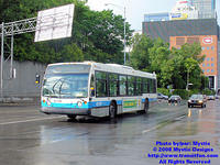 STM-22286-061808-01.jpg