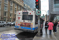 STM-22286-070809-02.jpg