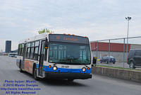 STM-22321-050210-01.jpg