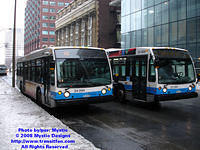 STM-22368-020508-01.jpg
