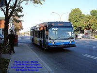 STM-22380-092408-01.jpg