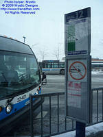 STM-22401-010209-01.jpg