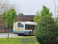 STM-22401-050210-02.jpg