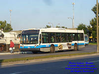 STM-23213-092408-01.jpg