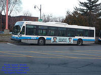 STM-24201-120209-01.jpg
