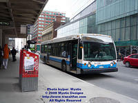 STM-24228-021609-01.jpg