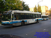 STM-24228-092408-02.jpg