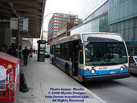 STM-24262-021609-01.jpg