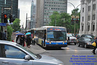 STM-24293-070809-01.jpg