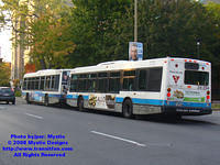 STM-24294-092408-02.jpg