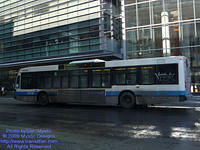 STM-25236-022509-01.jpg