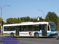 STM-26007-092408-02.jpg