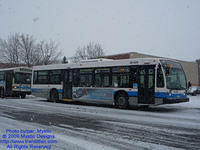 STM-26008-010209-01.jpg