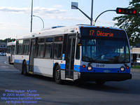 STM-26017-080609-02.jpg