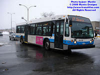 STM-26018-020508-01.jpg