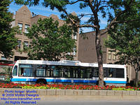 STM-26021-071509-01.jpg
