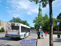 STM-26021-071509-03.jpg