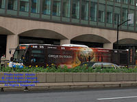 STM-26080-070809-01.jpg
