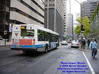 STM-26080-101308-01.jpg