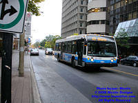 STM-26080-101308-02.jpg