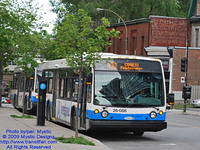 STM-26086-071509-01.jpg