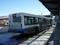 STM-27529-022509-02.jpg