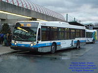 STM-27533-113009-01.jpg