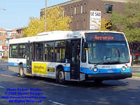 STM-28021-092408-01.jpg