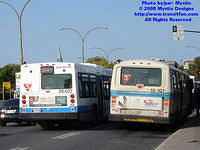 STM-28022-092408-01.jpg
