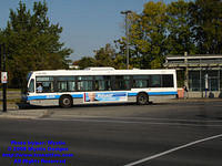 STM-28022-092408-02.jpg