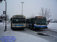 STM-28088-010209-02.jpg