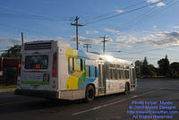 STM-29073-091309-05.jpg