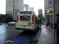 STM-29074-070809-01.jpg