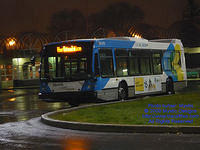 STM-29076-112509-01.jpg