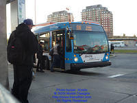 STM-29078-111809-05.jpg
