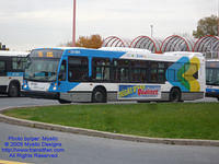STM-29084-102609-01.jpg
