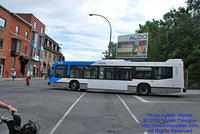 STM-29086-071509-06.jpg