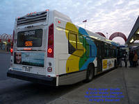 STM-29092-112509-02.jpg