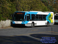 STM-29099-101909-01.jpg