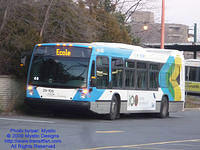 STM-29108-112309-02.jpg