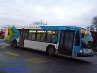 STM-29108-113009-01.jpg
