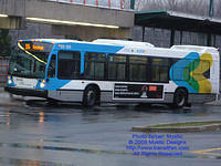 STM-29109-120709-01.jpg