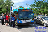 STM-29112-071509-01.jpg