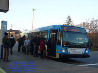 STM-29115-112309-02.jpg