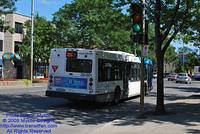 STM-29001-071509-03.jpg
