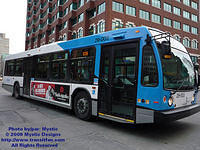 STM-29003-021609-01.jpg
